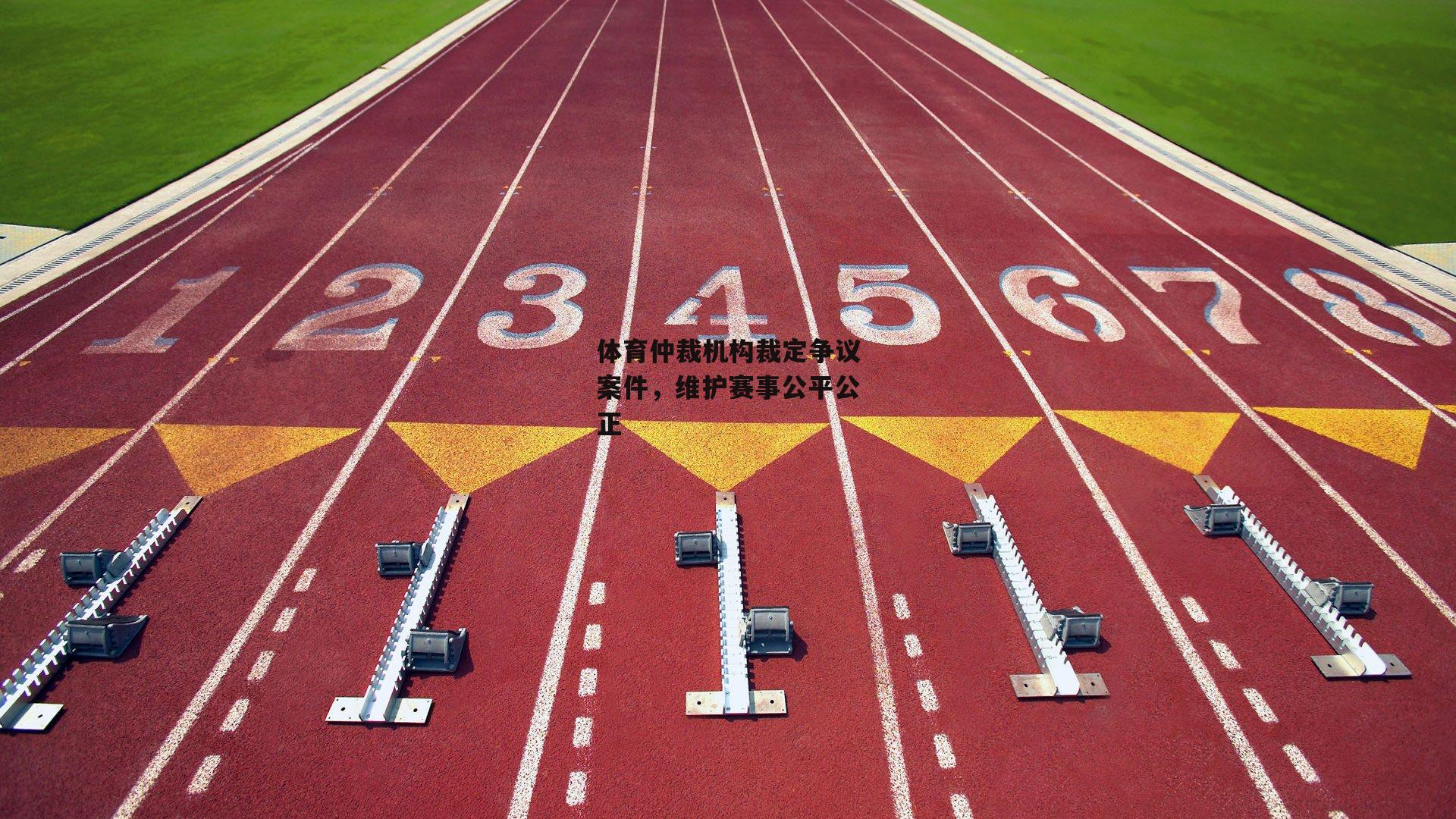 体育仲裁机构裁定争议案件，维护赛事公平公正